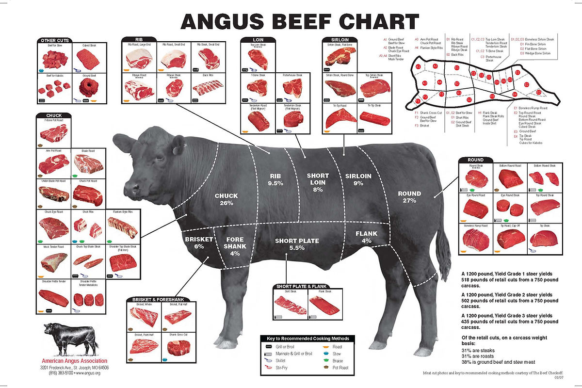 American Angus beef cuts chart